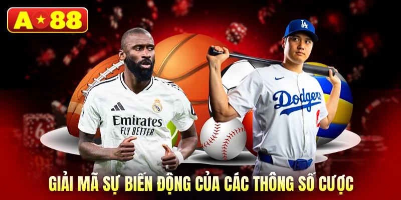Giải mã sự biến động của các thông số cược